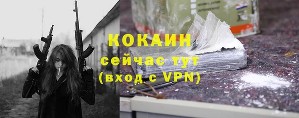 мдпв Горняк