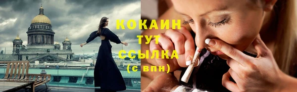 винт Гусь-Хрустальный