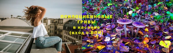 мдпв Горняк